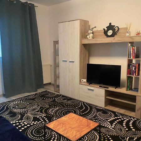Apartment Dabic Remote And Fun Брашов Экстерьер фото