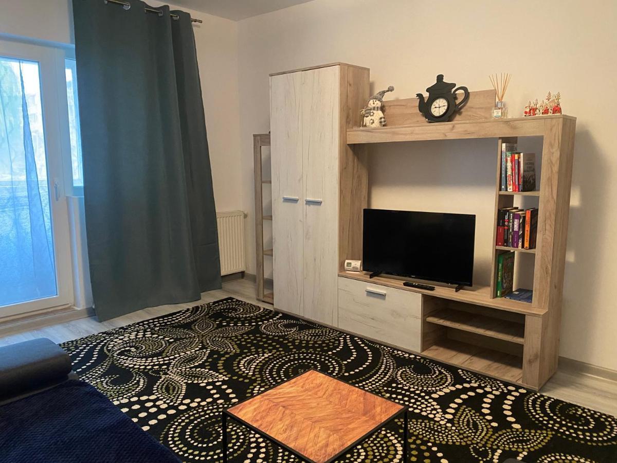 Apartment Dabic Remote And Fun Брашов Экстерьер фото