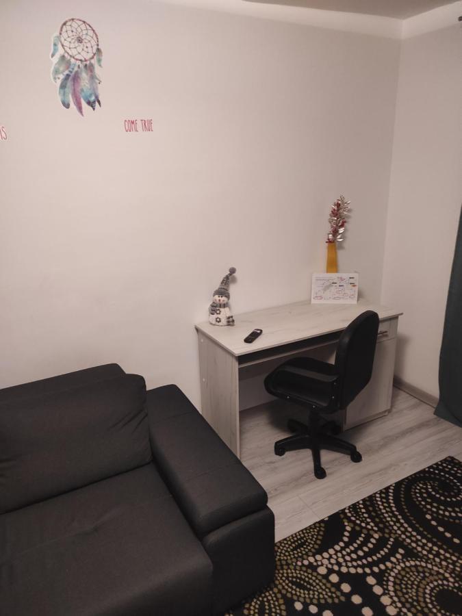 Apartment Dabic Remote And Fun Брашов Экстерьер фото